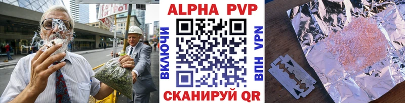 A PVP СК  Новомосковск 